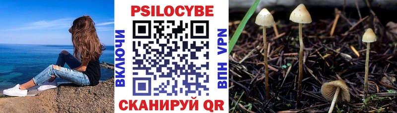 магазин Новомосковск Галлюциногенные грибы Psilocybine cubensis